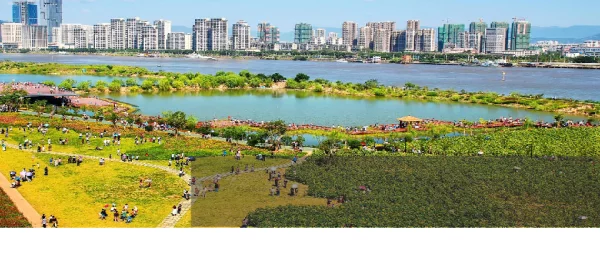 利用海绵城市的系统理念统筹解决城市内涝问题