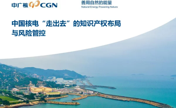 中国核电“走出去”的知识产权布局与风险管控