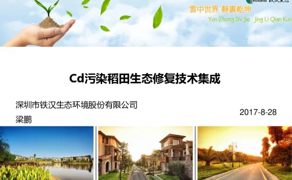Cd污染稻田生态修复技术集成
