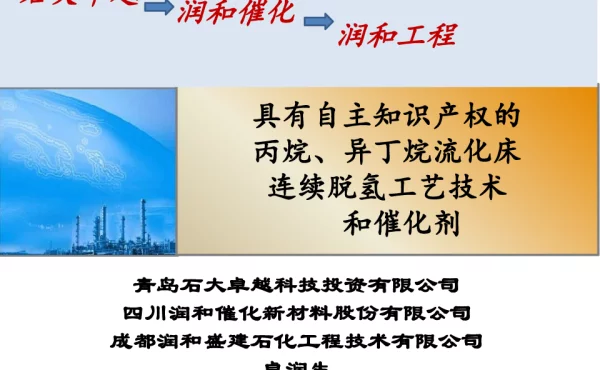 具有自主知识产权的丙烷、异丁烷流化床连续脱氢工艺技术和催化剂