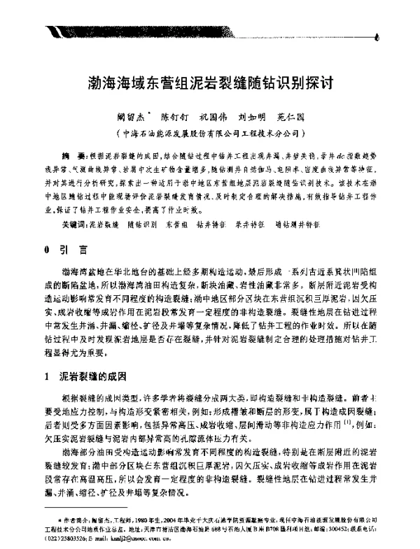 渤海海域东营组泥岩裂缝随钻识别探讨