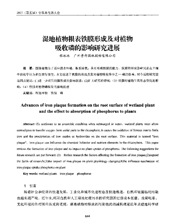 湿地植物根表铁膜形成及对植物吸磷的影响研究进展