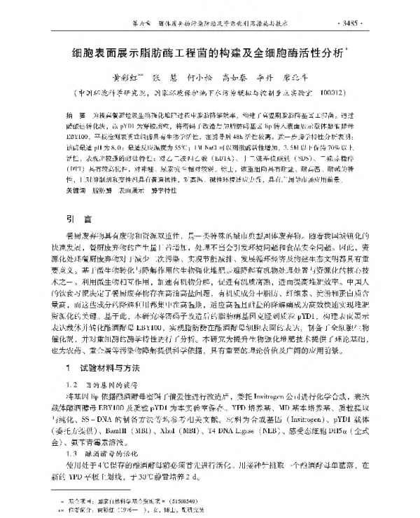 细胞表面展示脂肪酶工程菌的构建及全细胞酶活性分析
