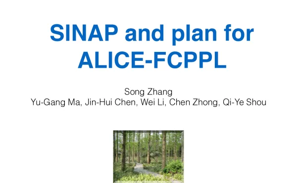 SINAPandplanforALICE-FCPPL