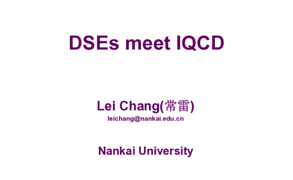 DSEsmeetIQCD