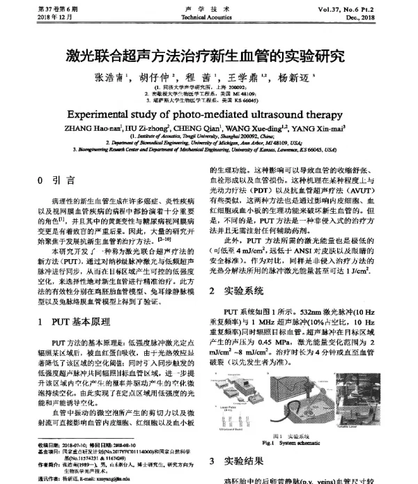 激光联合超声方法治疗新生血管的实验研究