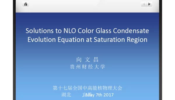 SolutionstoNLOColorGlassCondensateEvolutionEquationatSaturationRegion