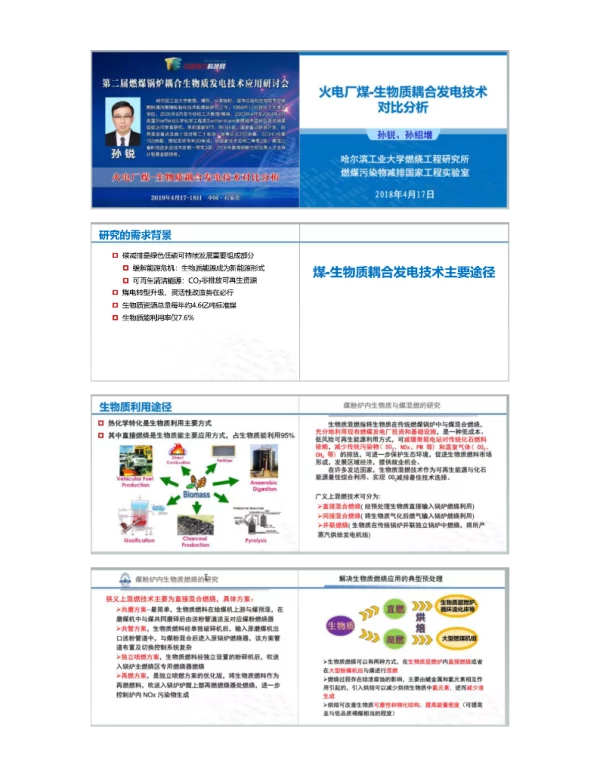 火电厂煤-生物质耦合发电技术对比分析