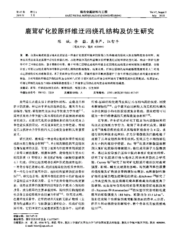 鹿茸矿化胶原纤维迂回绕孔结构及仿生研究
