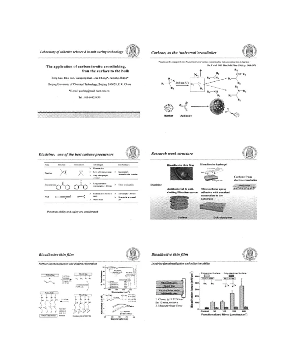 Theapplicationofcarbenein-situcrosslinkingfromthesurfacetothebulk