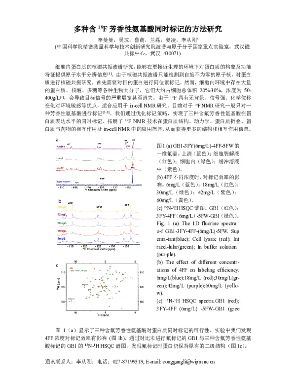 多种含19F芳香性氨基酸同时标记的方法研究