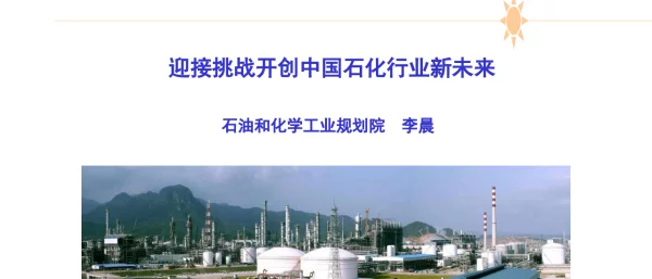 迎接挑战开创中国石化行业新未来