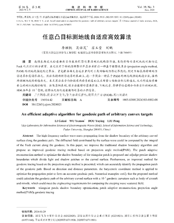 任意凸目标测地线自适应高效算法