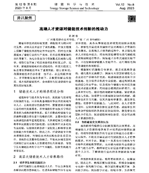 高端人才资源对储能技术创新的推动力