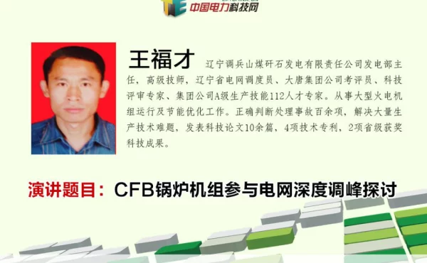 CFB锅炉机组参与电网深度调峰探讨
