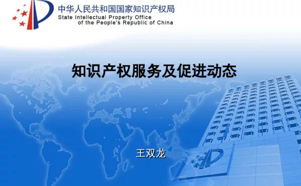知识产权服务及促进动态