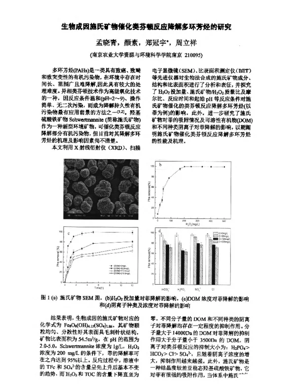生物成因施氏矿物催化类芬顿反应降解多环芳烃的研究