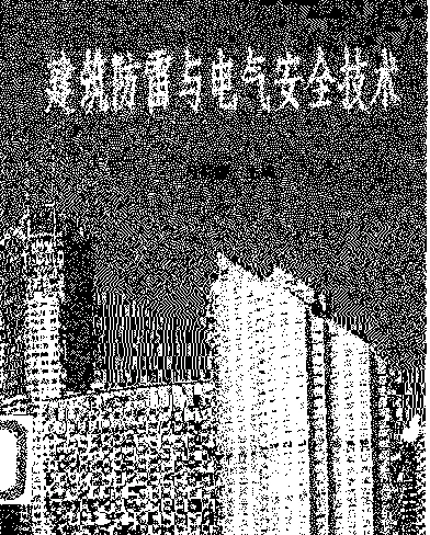 建筑防雷与电气安全技术2003