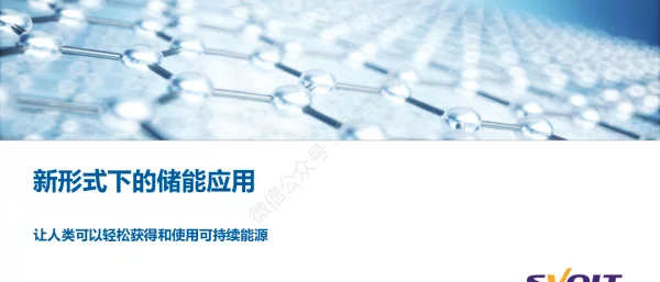 新形式下的储能应用—蜂巢能源储能大会
