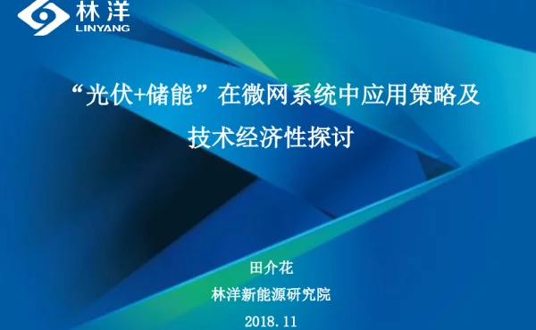光伏+储能”系统应用策略及技术经济性探讨-潘少峰