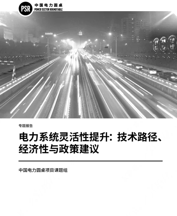 电力系统灵活性提升：技术路径、经济性