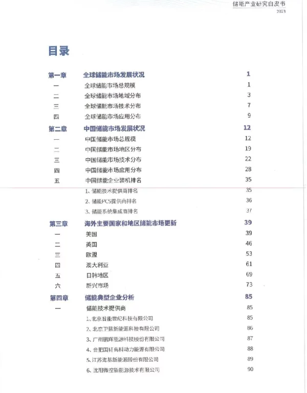 储能产业研究白皮书
