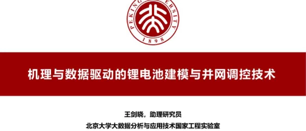 机理与数据驱动的锂电池建模与并网调控技术