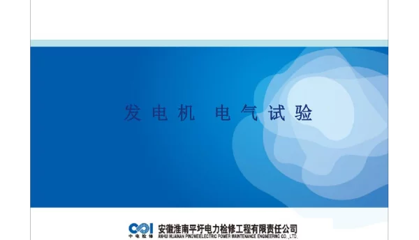 64页发电机电气试验