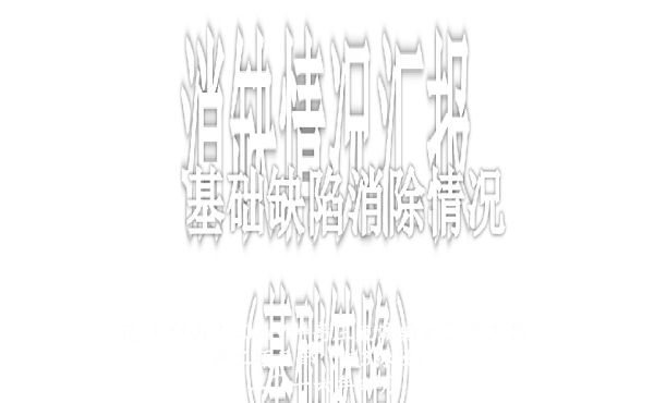 基础缺陷消缺情况PPT（完成）