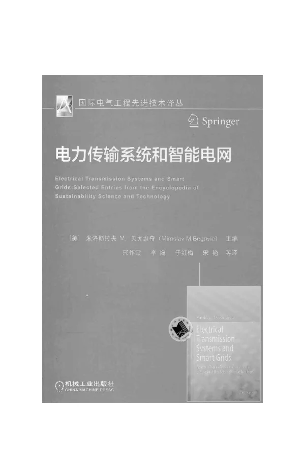 电力传输系统和智能电网