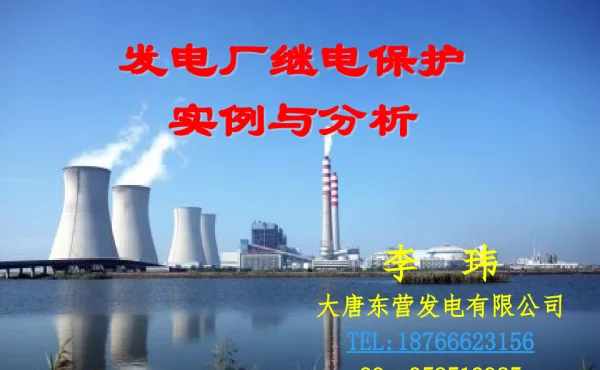发电厂继电保护故障实例与分析-李玮