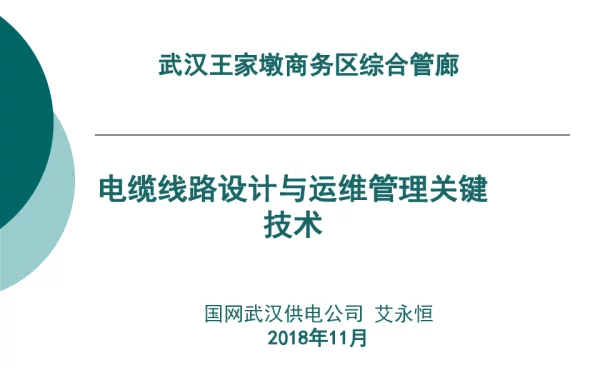 王家墩综合管廊设计及运维关键技术改