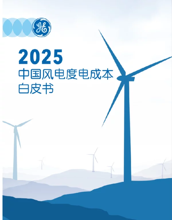 2025中国风电度电成本白皮书-研究报告电子版下载