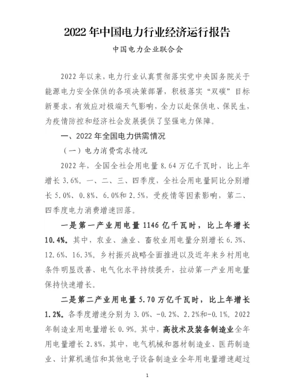 2022_年中国电力行业经济运行报告