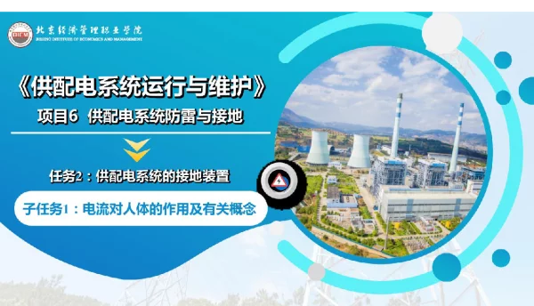 供配电系统运行与维护配电系统防雷与接地