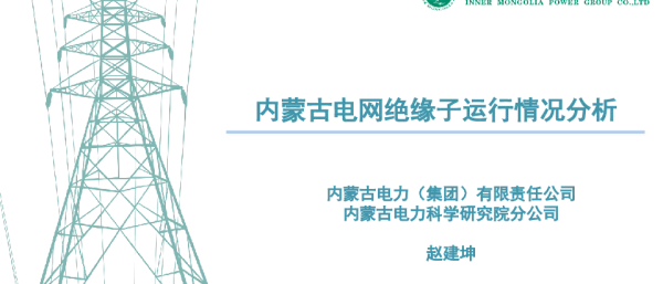 内蒙古电网绝缘子运行情况分析