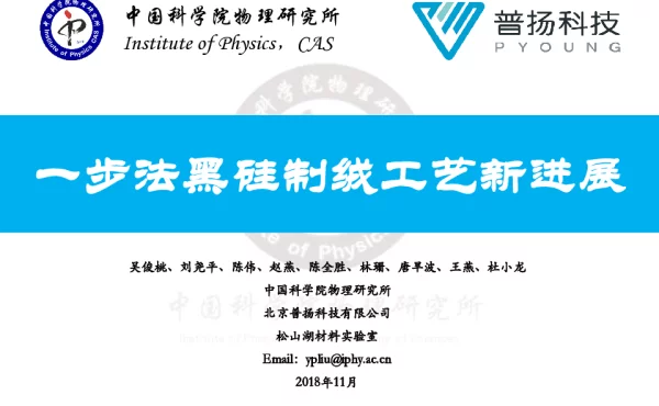 一步法黑硅制绒工艺新进展-吴俊桃