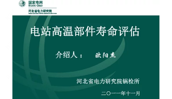 电站高温部件寿命分析（张家界）