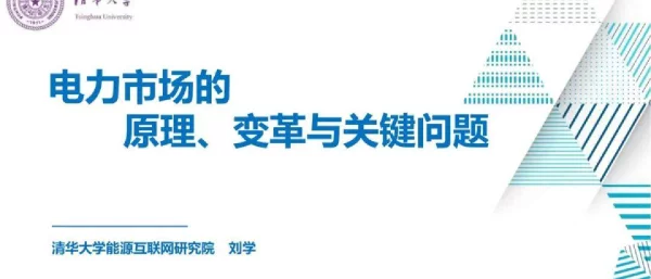 电力市场的原理、变革与关键问题