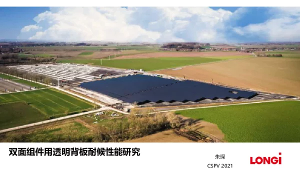 双面组件用透明背板耐候性能研究