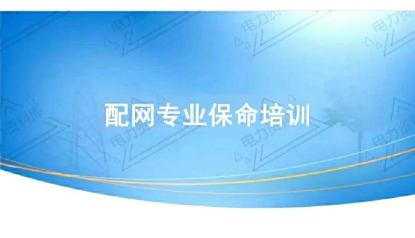 配网专业保命培训