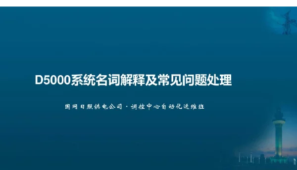 D5000系统名词解释及常见问题处理