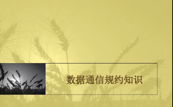 数据通信规约知识