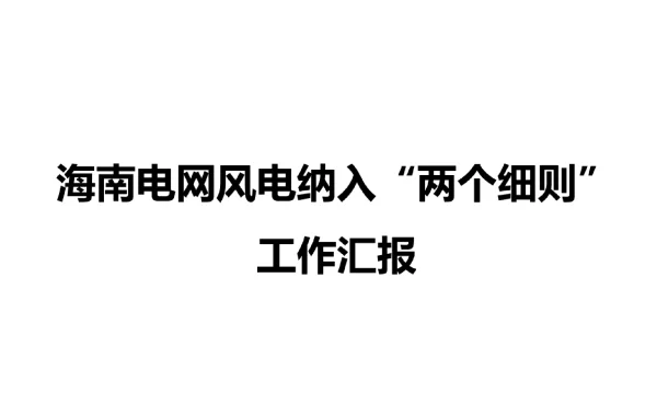 海南电网风电纳入“两个细则”管理工作汇报