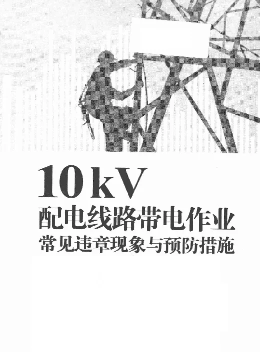 10kV配电线路带电作业常见违章现象与预防措施