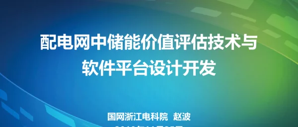 配电网中储能价值评估技术与软件平台设计开发