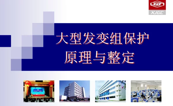 发变组保护原理与整定 定子接地 