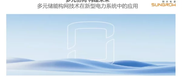 2024多元储能构网技术在新型电力系统中的应用报告