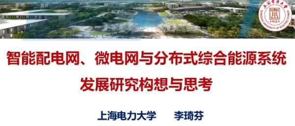 智能配电网、微电网与分布式综合能源系统发展研究构想与思考