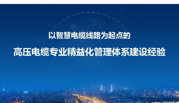 高压电缆专业精益化管理体系建设经验_电力电缆技术讲座课件